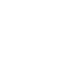 bundle-logo