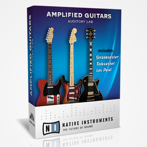 Amplified Guitars Product Box