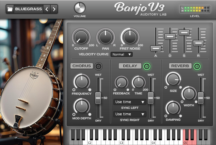 Professional virtual banjo VST AU AAX plugin bluegrass country folk string instrument fingerpicking strumming traditional music